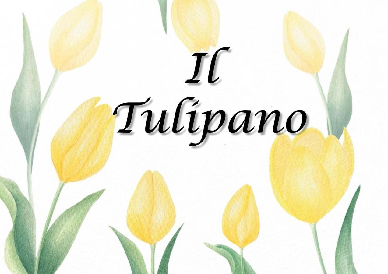 Il Tulipano Lejlighed Trezzano Rosa Eksteriør billede